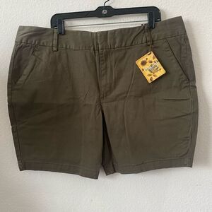 Hybrid & Company Bermuda Green Shorts Size 18
